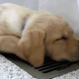 Meet your Posher, Claire